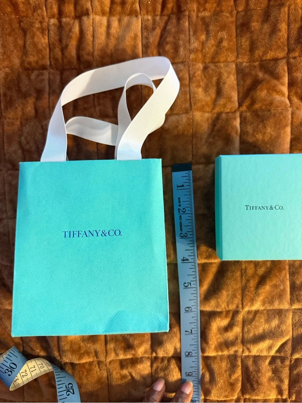 Tiffany & Co. Blue Gift Bag and Box Set